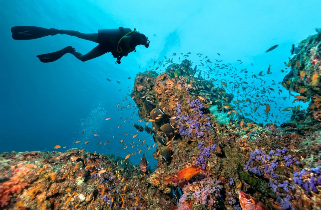 person scuba diving